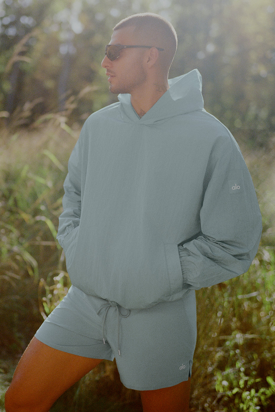 Desert Sage